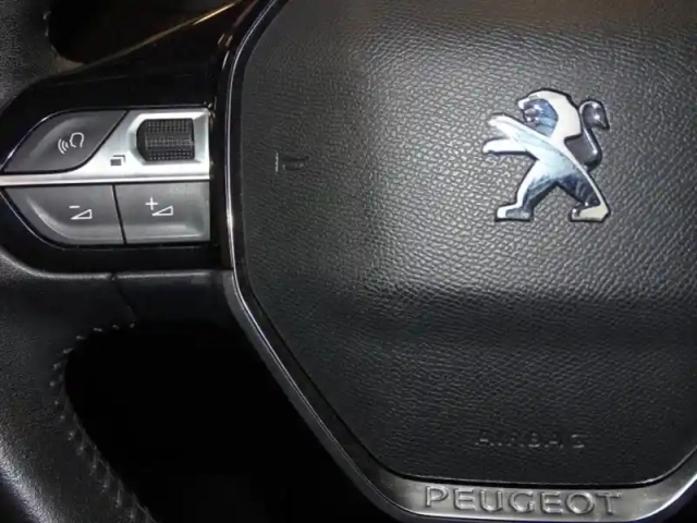 Peugeot 208 1.5 bluehdi 100ch s&amp;s active pack — photo 14