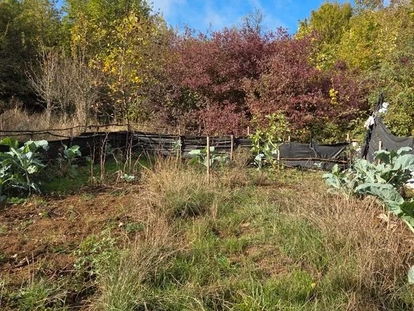Bien agricole et foncier Vente Rombas 240m² 3000€