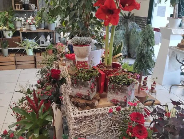 Fonds de commerce fleuriste