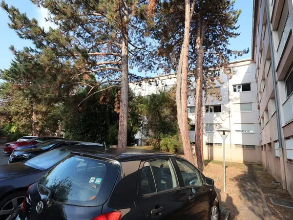 Appartement 3 pièces 74 m²