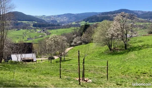 F1/F2 dans un habitat participatif proche du village et en pleine nature
