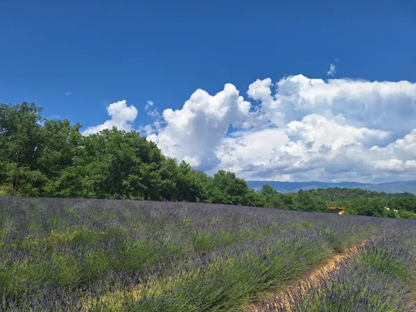 Terrain 778 m²
