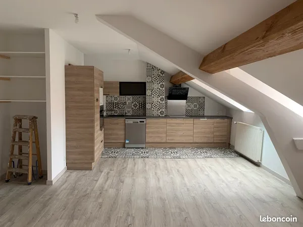 Grand T3 rénové de 80m2 Quartier St Anne