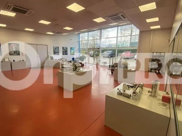 Local d'activité 331 m²