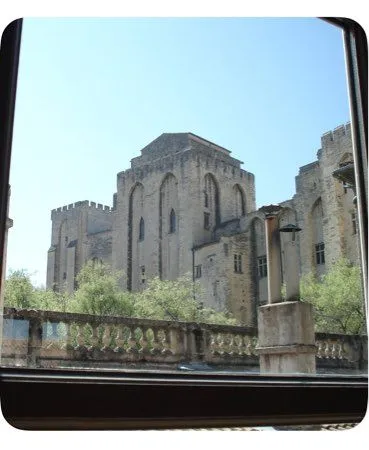 AVIGNON INTRA-MUROS - VUE PALAIS DES PAPES - 65 m² - Appartement traversant de caractère - Salon 35 