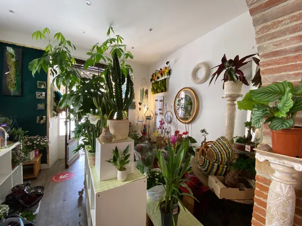 A LOUER - MONTESQUIEU VOLVESTRE - Local commercial à louer 35 m² - 5701-LC