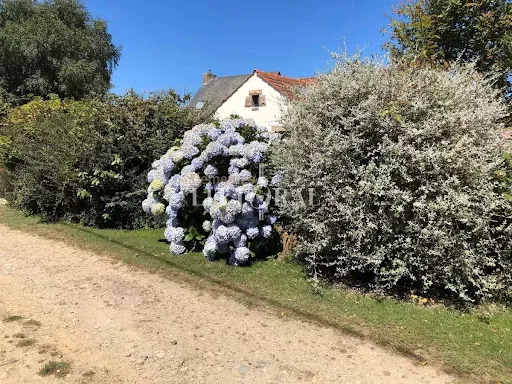Maison 4 pièces 70 m²