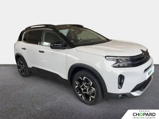 Citroën C5 Aircross bluehdi 130 eat8 — photo 45