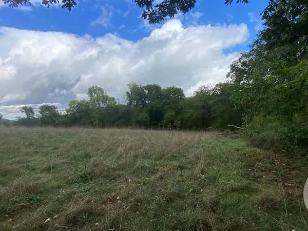 Terrain 6977 m²