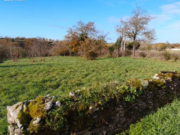 Terrain constructible
