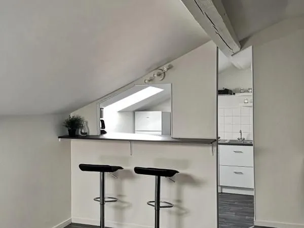 Studio 1 pièce 25 m²