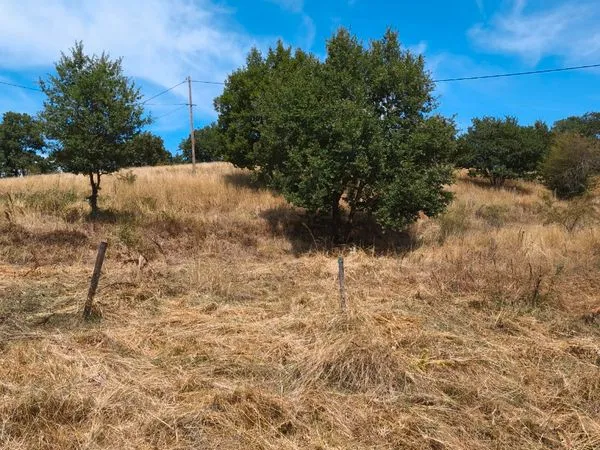 Location terrain campagne