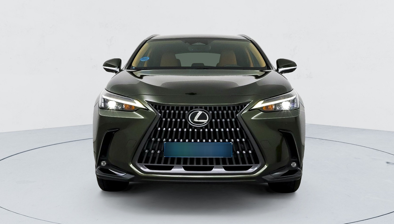 Lexus NX — photo 8