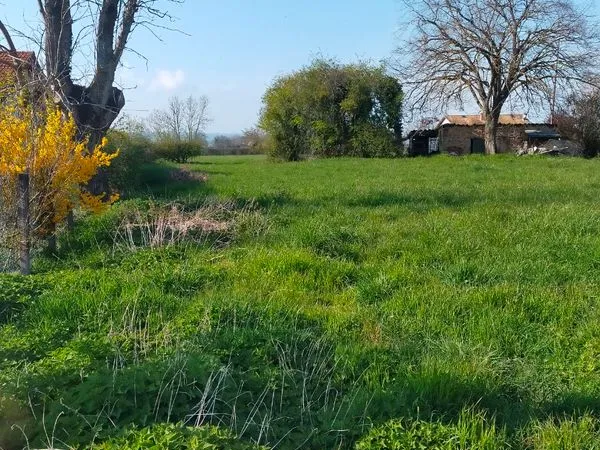 Terrain constructible