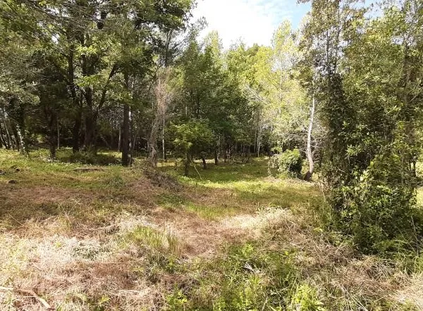 Terrain 976 m² Flayosc