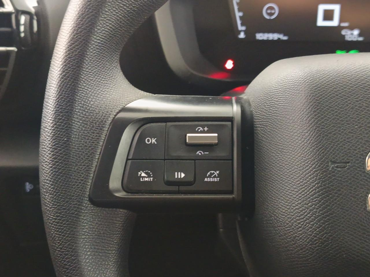 Citroën C4 bluehdi 110 s&s bvm6 live — photo 17