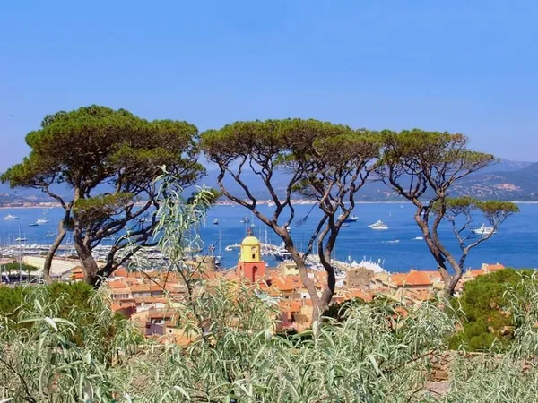 Opportunité Rare Boutique St. Tropez environ 280 M2 A Louer Saison 2026 ou bail 3.6.9