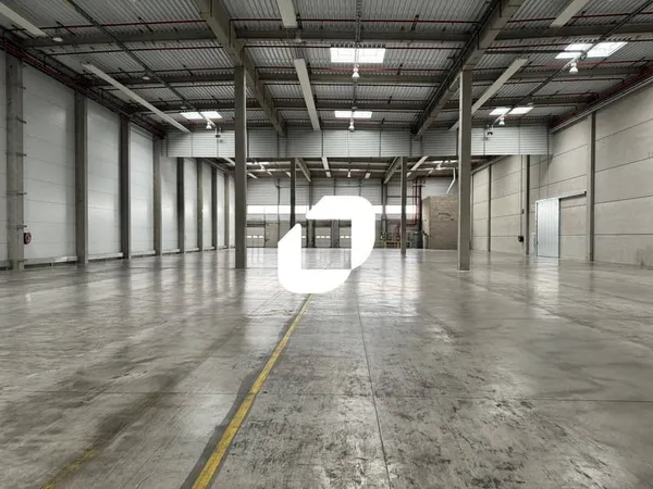 Entrepôt 8615 m²