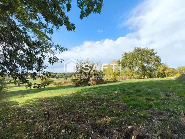 Très beau terrain constructible de 5604 m2 situé à quelques pas du centre-ville de Saint-Amour