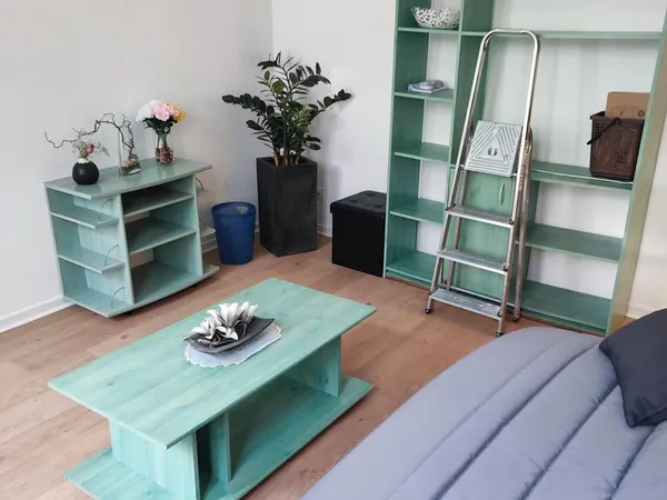 A LOUER, F1 MEUBLE de 39,35 m² à STRASBOURG