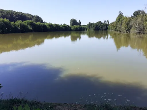 Propriété 300 m²