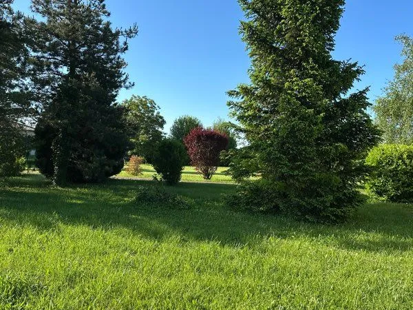 Faire offre Prissé particulier trois parcelles terrains constructibles bien situé 1000m2 eau électri