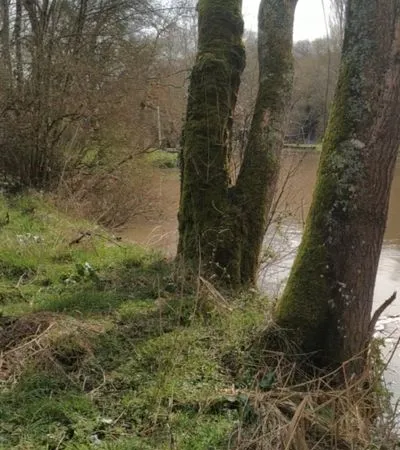 Terrain de loisir bord de rivière courcay