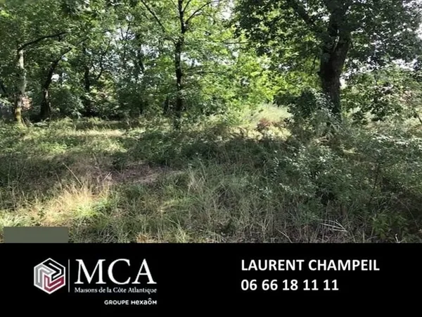 Terrain 242 m²