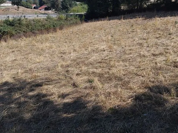 Terrain agricole 3000 m2