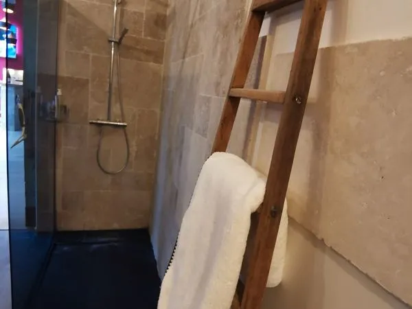 Appartement T3 bis haut standing Nansouty terrasse sauna