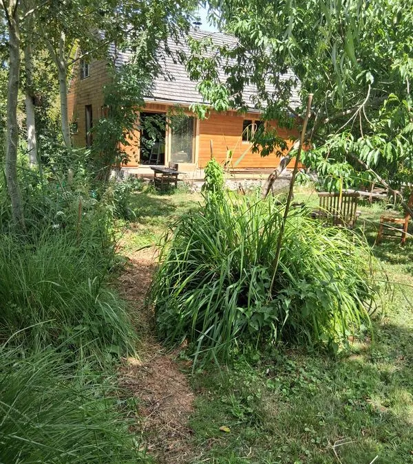 Photo 2