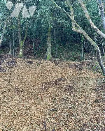 Terrain 600 m²