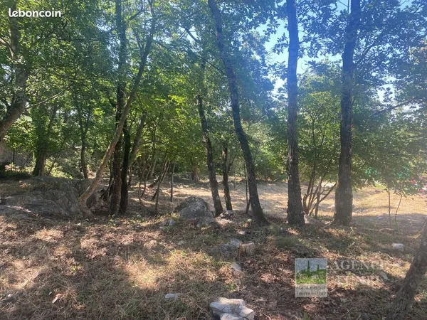 Terrain 1481 m² Saint-Vallier-de-Thiey