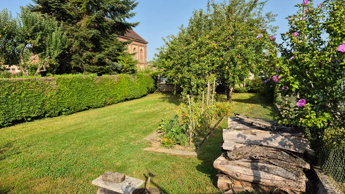 Photo 8