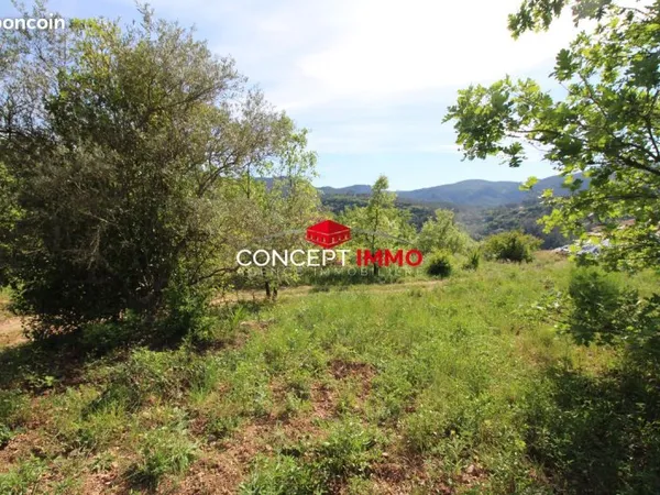 Terrain 1017 m²