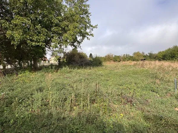 Terrain constructible