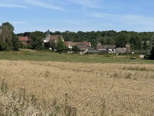 Terrain 310 m²