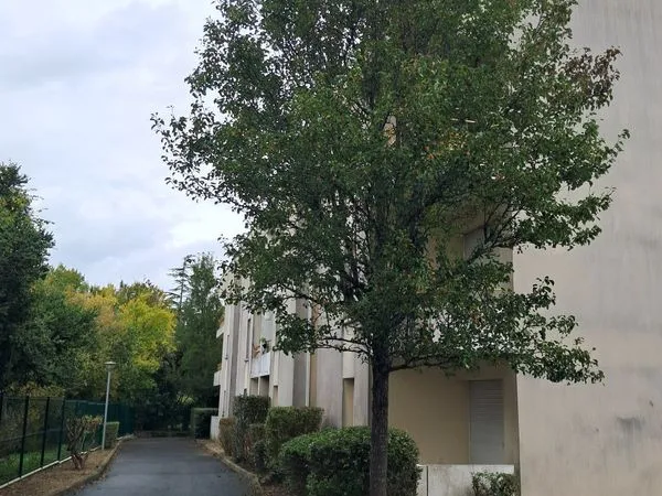 À LOUER - T2 AVEC PARKING - 42 m² - SAINT-SEURIN-SUR-L'ISLE