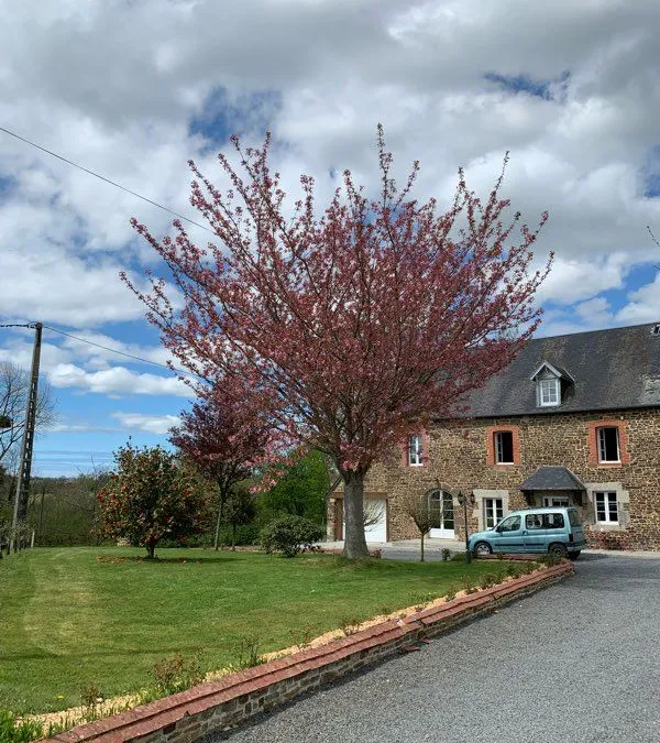 Photo 2