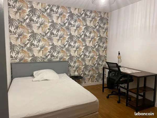 Colocation chambre