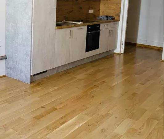 Grand appartement T2