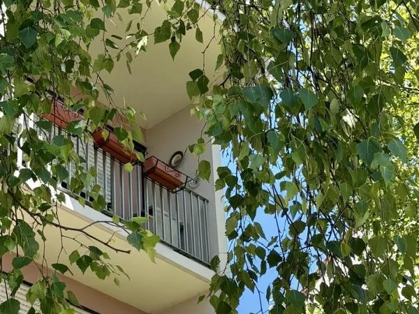 Appartement 3 pièces à Schiltigheim