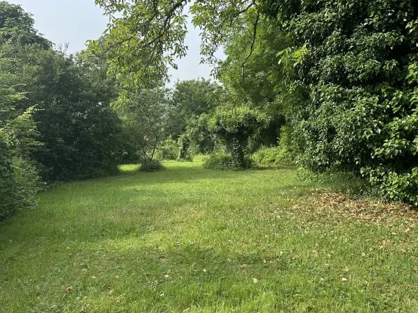 Vends terrain 1000m² en ville