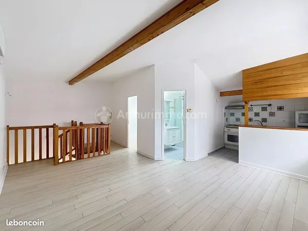 Duplex 2 pièces 49 m²
