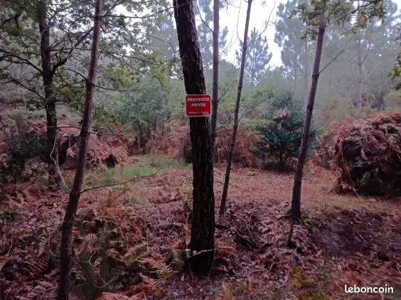 Terrain forestier bassin d'Arcachon