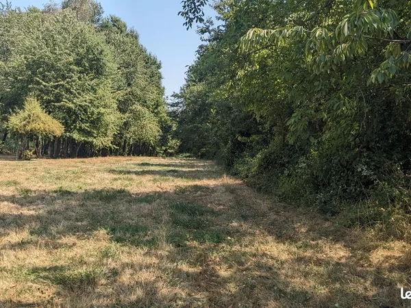 Terrain avec surface constructible de 730m2