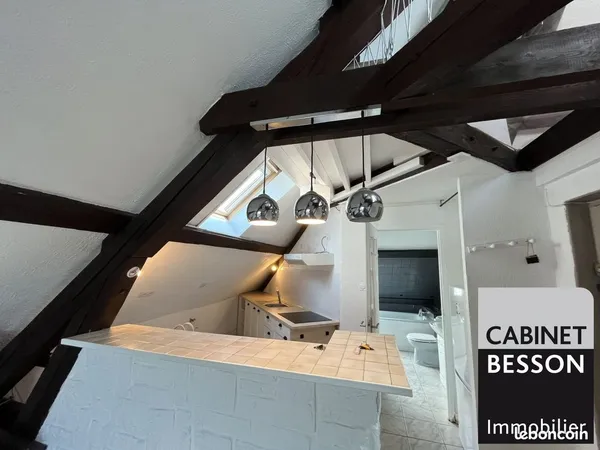 Duplex 1 pièce 20 m²