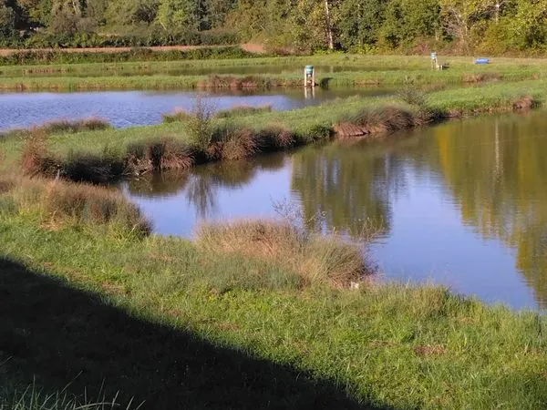Etangs et lacs