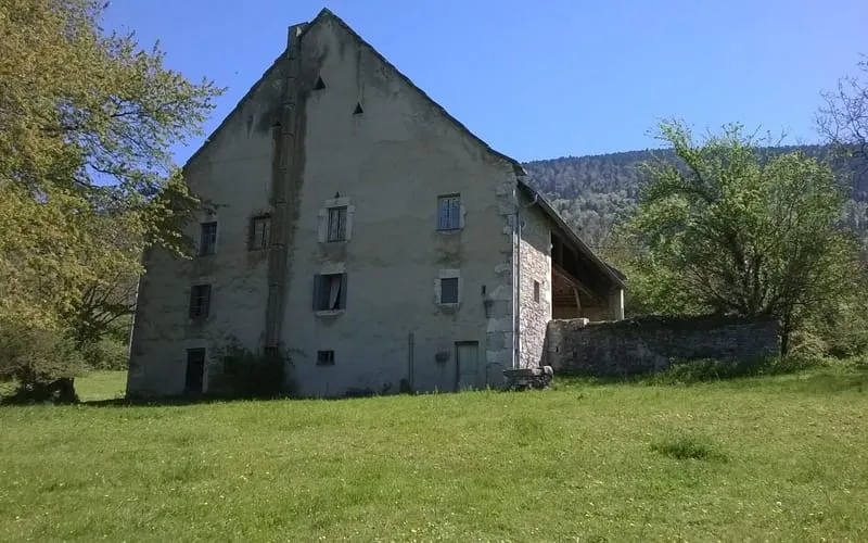 Photo 12
