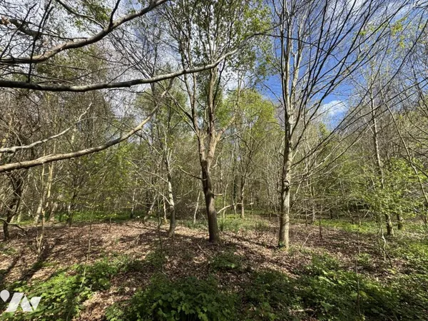 Terrain 118110 m²